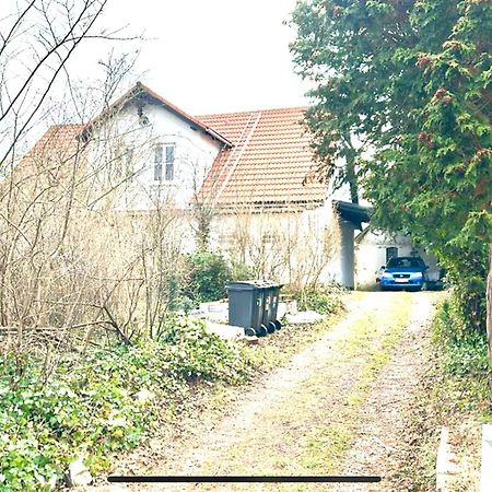 Villa Apartment Near Lousiana Humlebæk Esterno foto